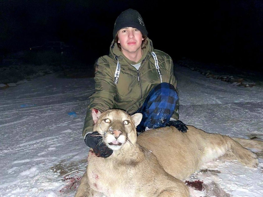 Mt Lion 2.jpg.jpg